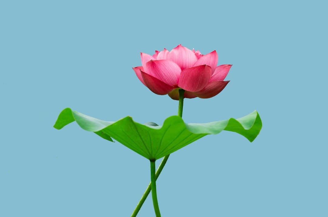 摄影师拍摄夜幕下的北京 灯亮起的一刻太惊艳了！